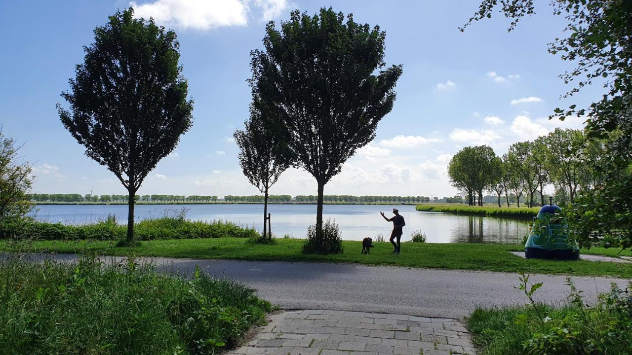 Dirkshorn Luxe Zomerwoning Met Omheinde Tuin Voor Hond En Kinderen מראה חיצוני תמונה