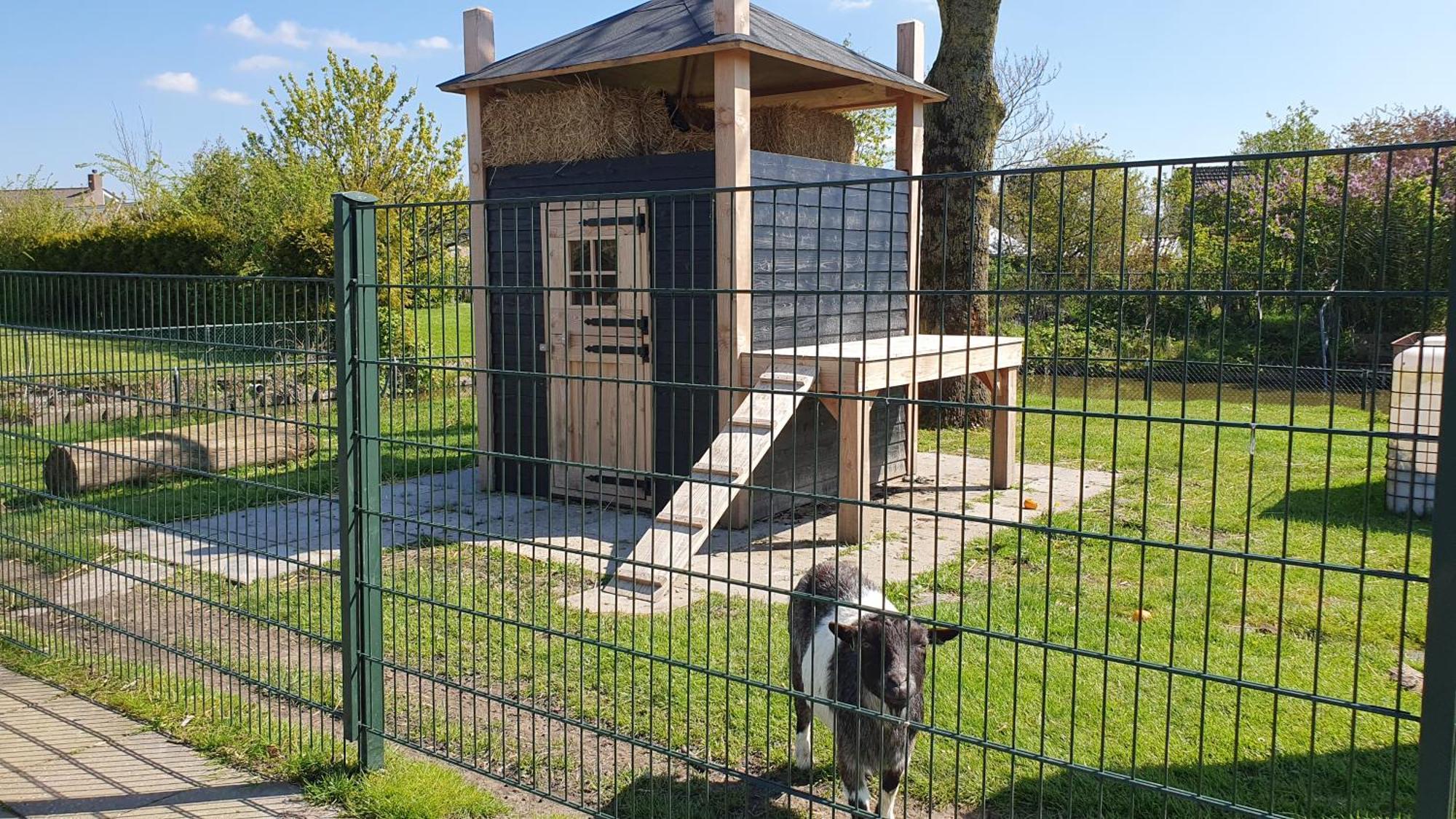 Dirkshorn Luxe Zomerwoning Met Omheinde Tuin Voor Hond En Kinderen מראה חיצוני תמונה