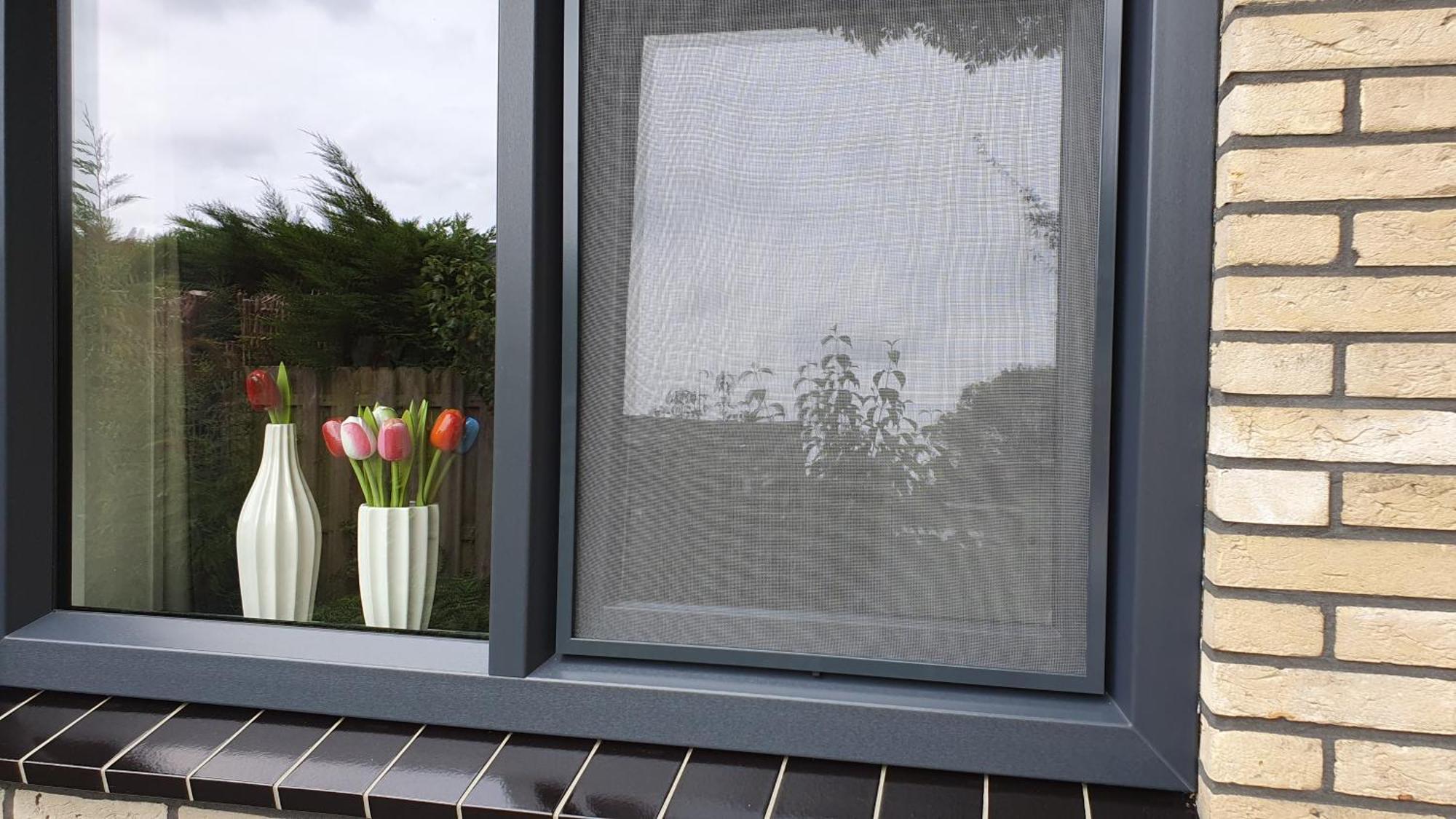 Dirkshorn Luxe Zomerwoning Met Omheinde Tuin Voor Hond En Kinderen מראה חיצוני תמונה
